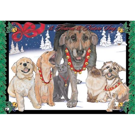 Pipsqueak Productions Mix Dog With Cat Holiday Boxed Cards C400
